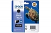 Original Ink Cartridge photo black  Epson T157XL, T157140